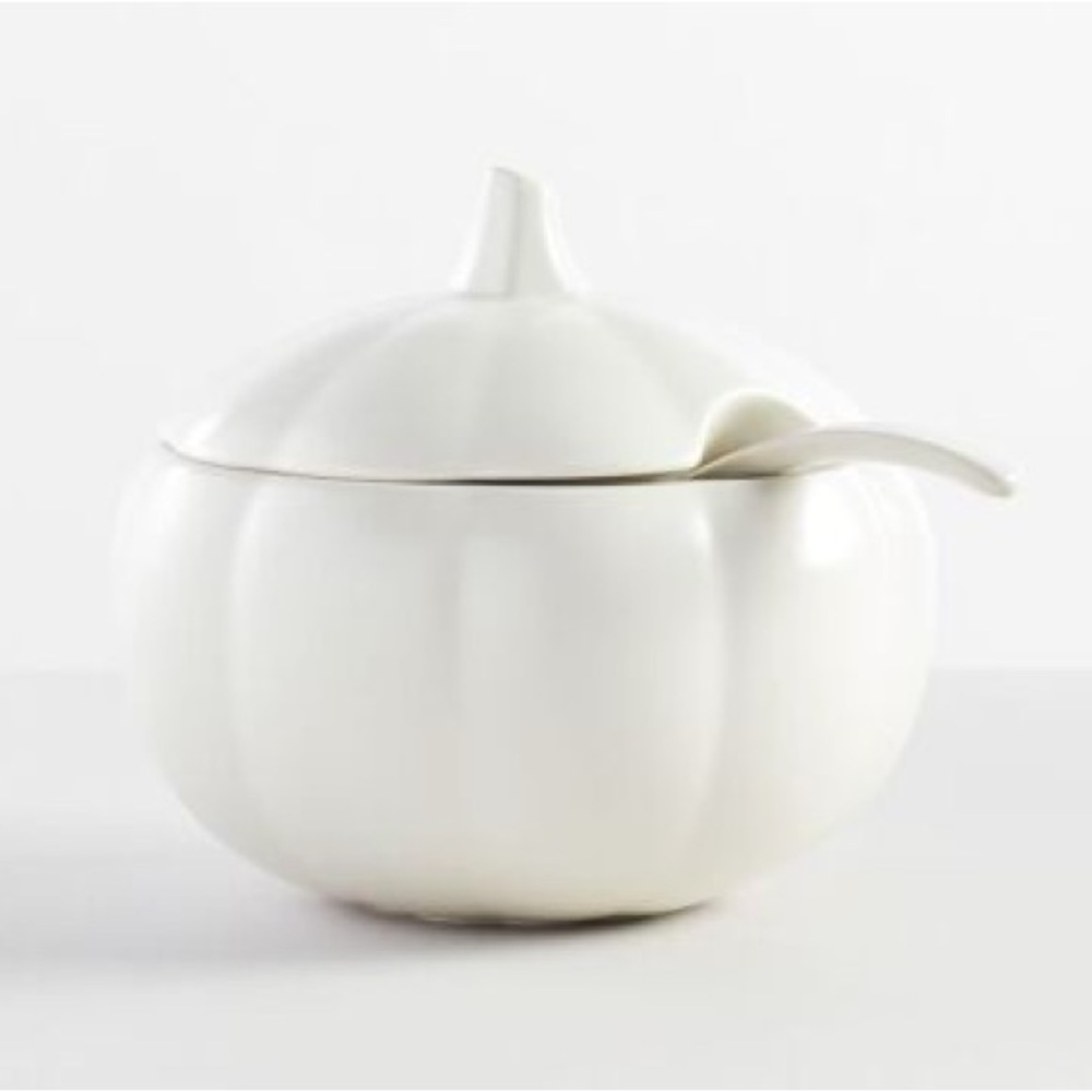 Pottery Barn White Pumpkin Stoneware Soup Tureen W/ Soup
